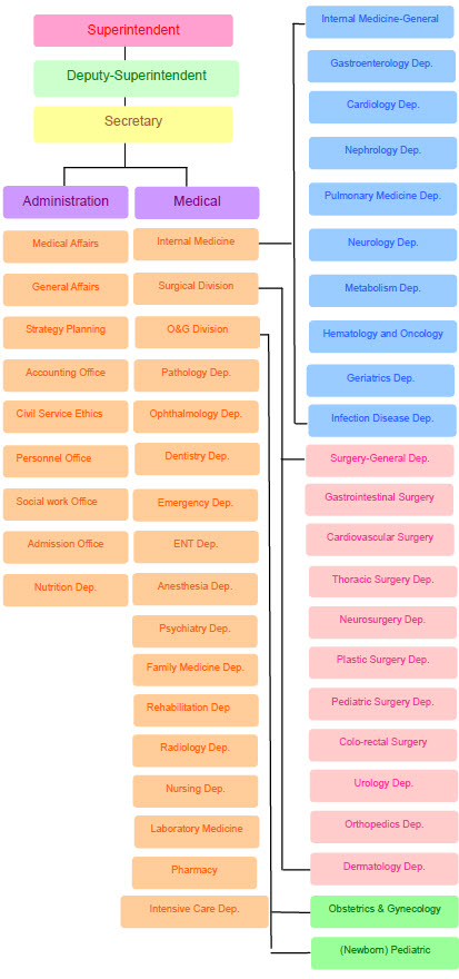 orgnaizational chart